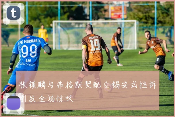 张镇麟与弗格默契配合锡安式挡拆引发全场惊叹